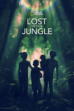 Lost in the Jungle