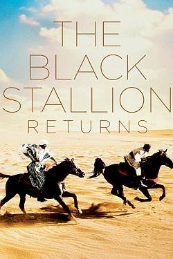 The Black Stallion Returns