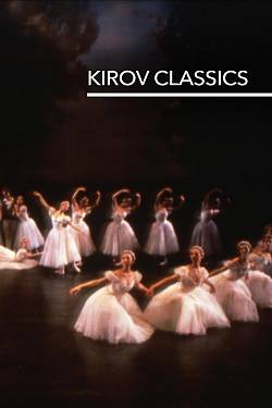 Still Life at the Penguin Café