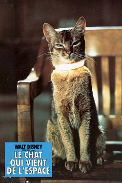 The Cat from Outer Space