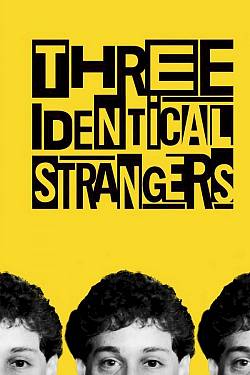 Three Identical Strangers