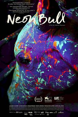 Neon Bull