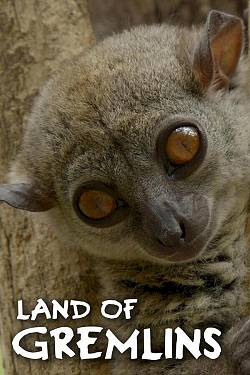 Land of Gremlins