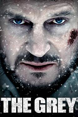 The Grey