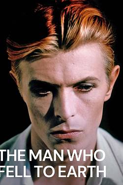 The Man Who Fell to Earth