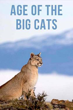 Age of the big cats
