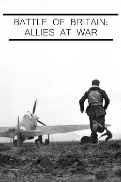 Battle of Britain 80: Allies At War