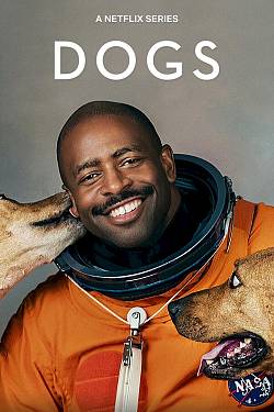 Dogs