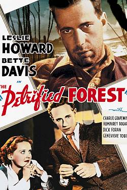 The Petrified Forest