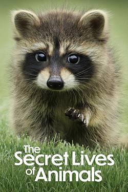 The Secret Lives of Animals