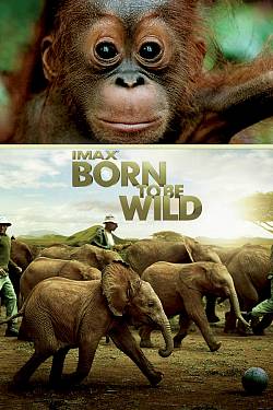 IMAX: Born To Be Wild