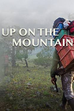 Up On the Mountain
