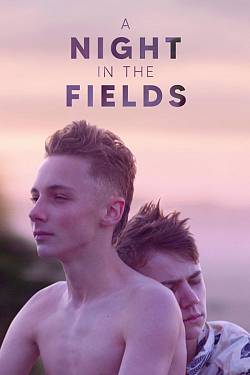 A Night in the Fields