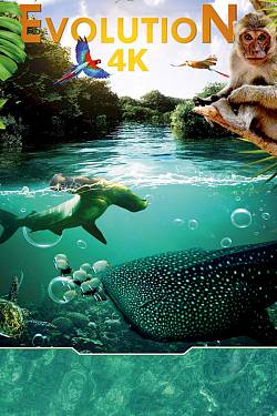 Evolution