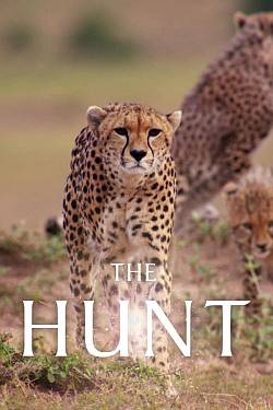 The Hunt