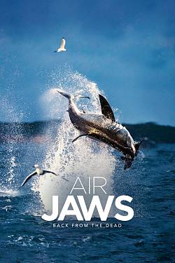 Air Jaws: Back From the Dead