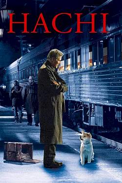 Hachi