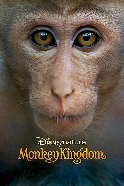 Monkey Kingdom