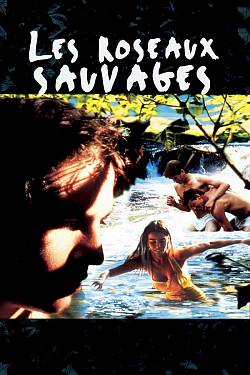 Les roseaux sauvages
