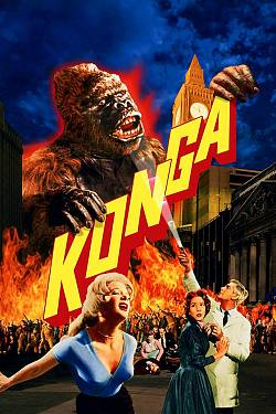 Konga