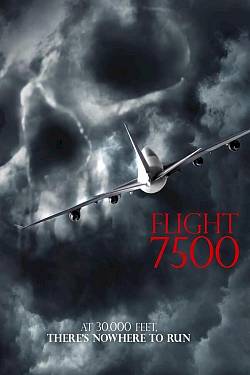 Flight 7500