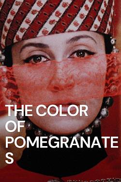 The Color of Pomegranates