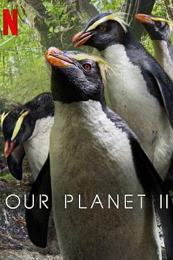 Our Planet II