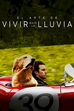 The Art of Racing in the Rain