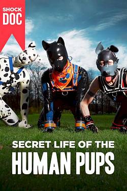 Secret Life Of The Human Pups