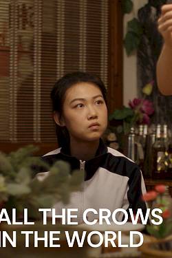 All the Crows in the World