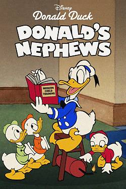Donald's Nephews