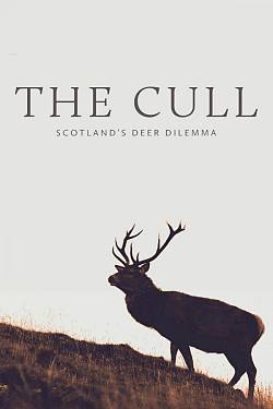 The Cull: Scotland's Deer Dilemma