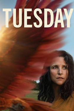 Tuesday