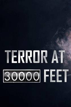 Terror At 30.000 Feet