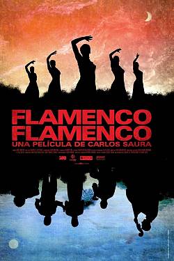 Flamenco, Flamenco