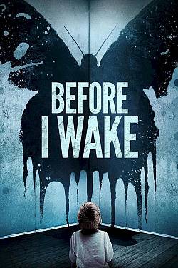 Before I Wake