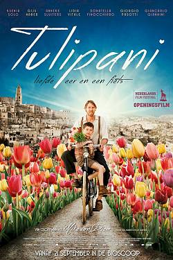 Tulipani