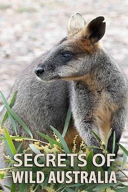 Geheimen van Australië