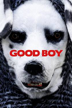 Good Boy