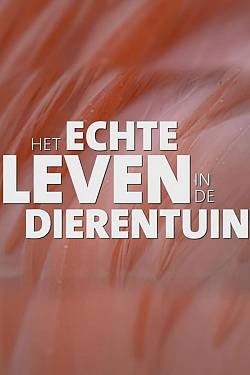 Het echte leven in de dierentuin