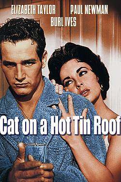 Cat on a Hot Tin Roof