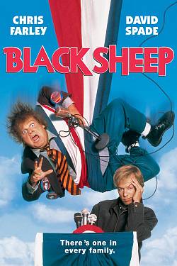 Black Sheep