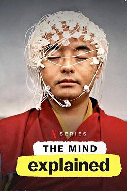 The Mind, Explained