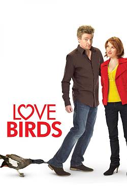 Love Birds