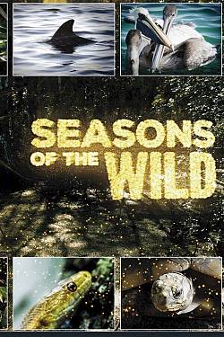 Seasons in the wild