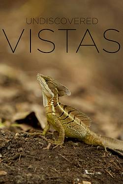 Onontdekte vergezichten
