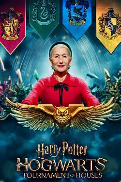 Harry Potter: Hogwarts Tournament of Houses