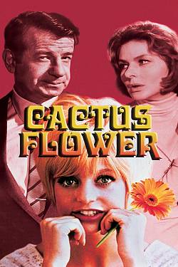 Cactus Flower