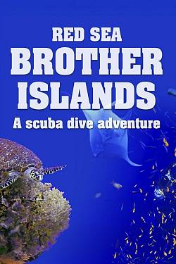Red Sea: Brother Islands a Scuba Dive Adventure