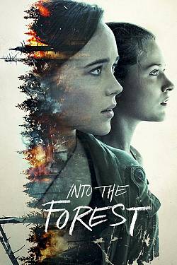 Into the Forest